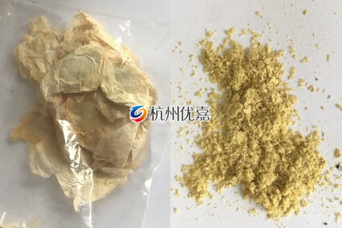 如何利用宋慈高通量多樣品組織研磨儀研磨植物組織？