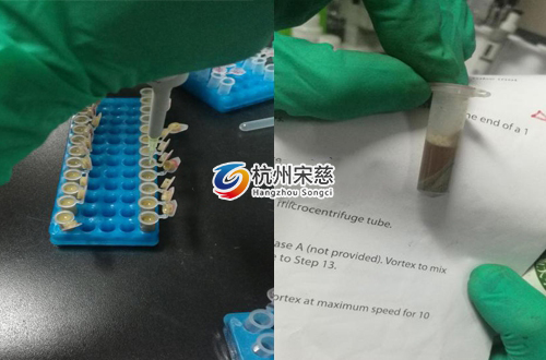 <a href=http://www.ffg666.com/prouduct/lengdong/ target=_blank class=infotextkey>冷凍研磨儀</a>
